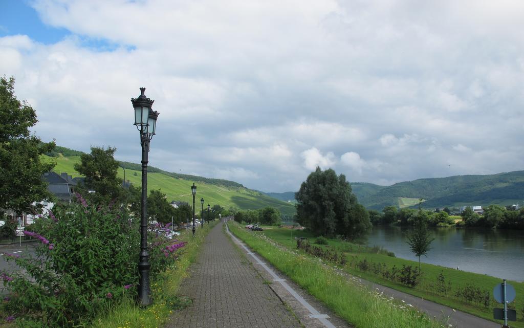 Mosel - River - Quartier 31 Лизер Экстерьер фото
