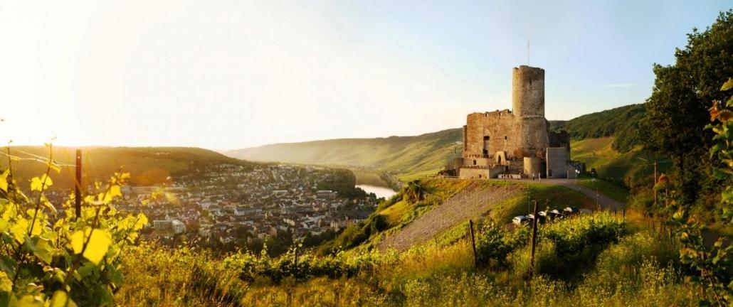 Mosel - River - Quartier 31 Лизер Экстерьер фото